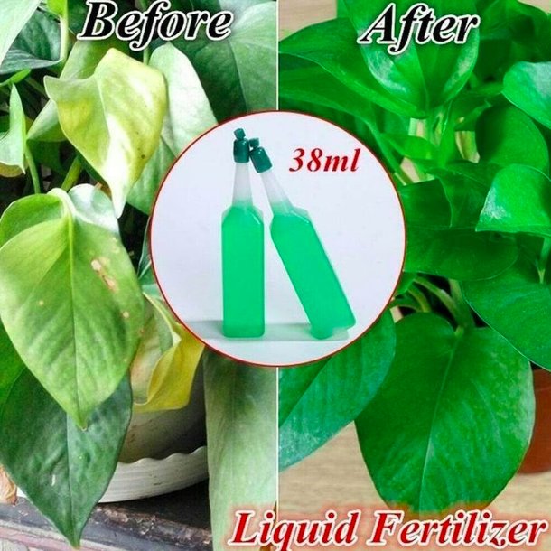 Hydroponic Liquid Plant Fertilizer Nutrient Solutions Seedling Recovery Root