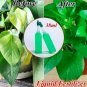 Hydroponic Liquid Plant Fertilizer Nutrient Solutions Seedling Recovery Root