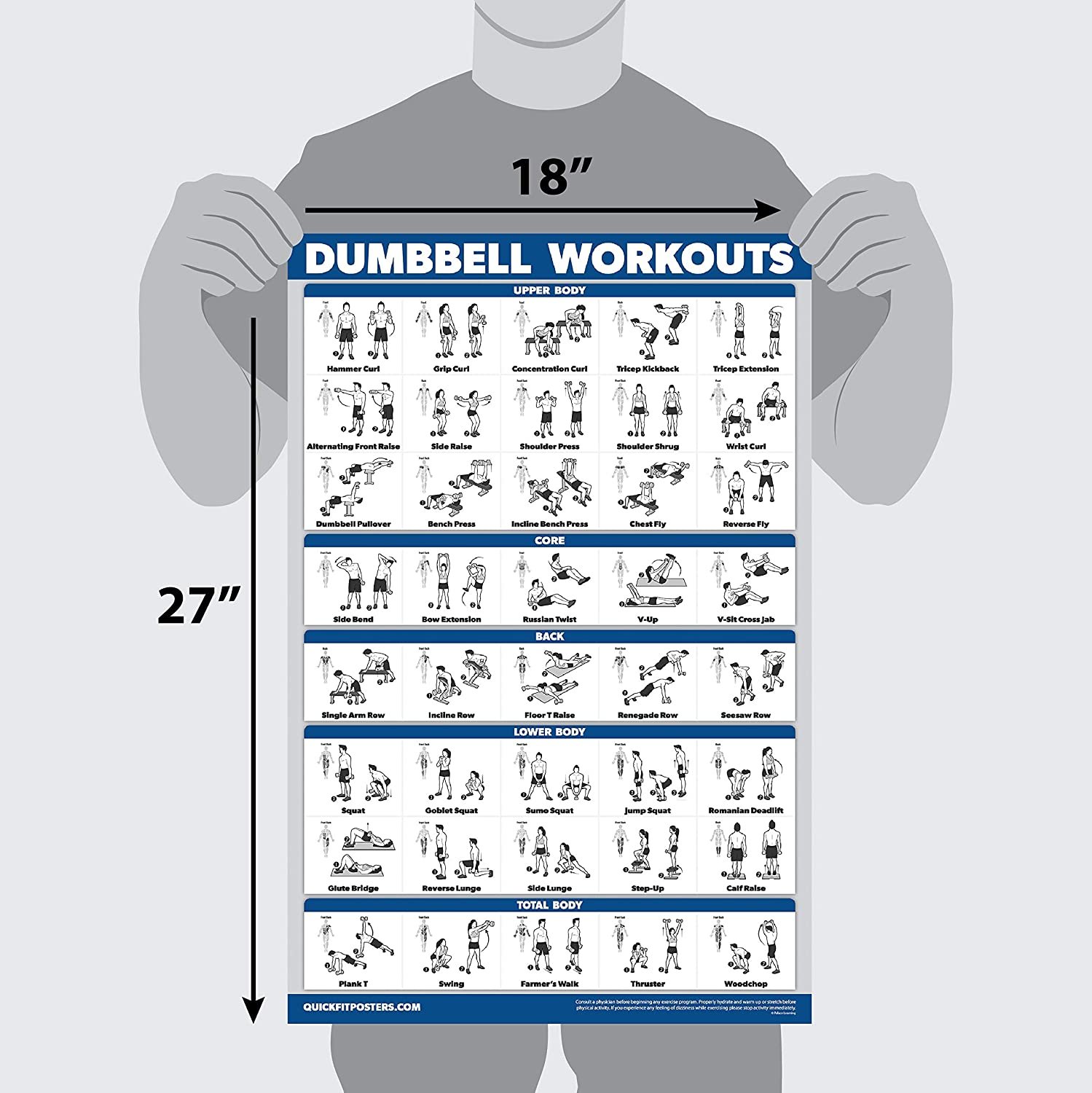 Palace Learning Dumbbell Workout Exercise Poster Laminated
