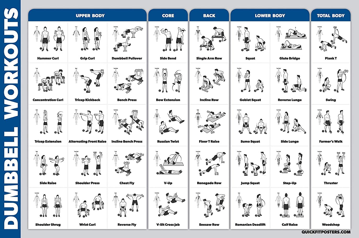 Palace Learning Dumbbell Workout Exercise Poster - Laminated