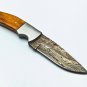 9'' Custom Hand Made Forged knife Hunter Knife Damascus Steel Bowie Knife 875