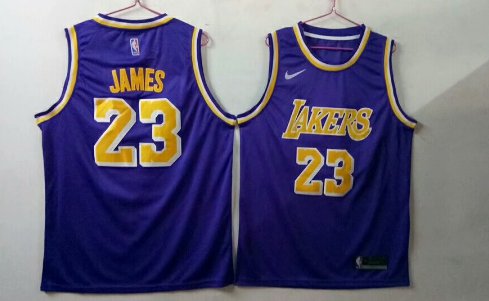 Lebron James Lakers Jersey #23 Purple size L - Brand New