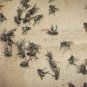 Fly Trap Sticky Paper Glue Insect Fruit Flies Bug Catcher Eco-Friendly 100Pcs