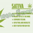 420 Sativa Weed Cannabis Light Green High Times Kush Vinyl Sticker Decals 420 Sativa Weed Cannabis Light Green High Times Kush Vinyl Sticker Decals