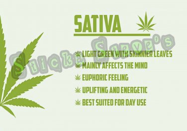 420 Sativa Weed Cannabis Light Green High Times Kush Vinyl Sticker Decals