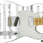 078 Righty Electric Guitar Skin Diamond Dave Notes