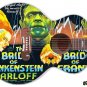 222 Righty Jumbo Acoustic Guitar Skin Metropolis March13 1927 Poster Theme