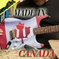 075 Lefty Acoustic Guitar Skin Pastel Oil Paint Fall