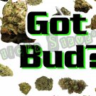 420 Got Bud Weed Green High Times Vinyl Bumper Sticker Decal Sticky Fingers