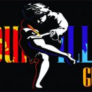 Guns N' Roses Illusion Tribute Bumper Sticker 3" X 9" Guns N' Roses Illusion Tribute Bumper Sticker 3" X 9"