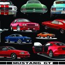 Mustang Muscle Cars Ford 60's - 2000's Vintage 5.0 Cobra 12 Vinyl cut stickers C