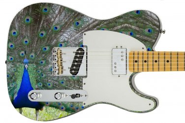 Guitar Skin Axe Wrap Re-skin Peacocking Pride of the West 571