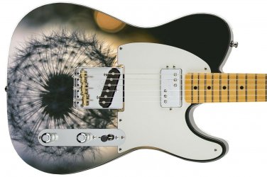 Guitar Skin Axe Wrap Re-skin Vinyl Make A Wish & Blow 713