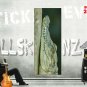 Showcase Skins Removable Wall Skinz D&Atilde;&copy;cor Panes - Gator Patient Crocodile 2022