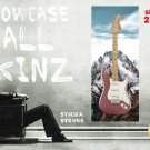 Showcase Skins Removable Wall Skinz Décor Display Panes-Mountain Top High 2118