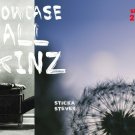 Showcase Skins Removable Wall Skinz Décor Panes -Make A Wish & Blow 2152