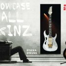 Showcase Skins Removable Wall Skinz Décor Panes- Halley's Comet 7yrs  2155