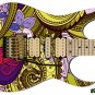 Guitar Skin Axe Wrap Re-Skin In the Garden of Vai 129