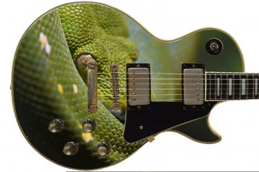 Guitar Skin Axe Wrap Re-skin Green Tree Python Snake Yellow Eyes 675