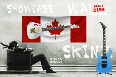 Guitar Display Wall Skinz Showcase Skins D&Atilde;&copy;cor Panes-Canada 2194