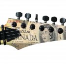 Pickguard Headstock Tremolo Skin Wrap Reskin for Guitars -CAD Bill 73 853