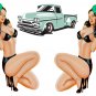 C10 Chevy GMC Vinyl 21 individual Contour Cut 60's 70's Chevrolet Stickers B