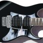 Guitar Skin Axe Wrap Re-skin - Black Wings 736