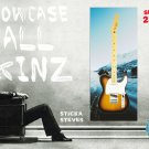 Wall Art Guitar Display  Décor Panes-Artic Adventure 2132
