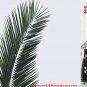 Wall Art Guitar Display  D&Atilde;&copy;cor Panes-Fern Willy  2165