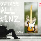 Wall Art Guitar Display  Décor -Broken Promises Dandelion  2171