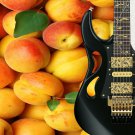 Wall Art Guitar Display Décor Panes - Peaches for Free 2016