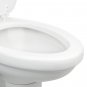 Dometic 302320081 320 Series Standard Height RV Toilet
