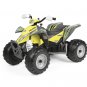 Polaris Outlaw Citrus