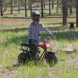 Coleman RB100 105cc Gas Powered Mini Bike -Pink & Red Changeable Decals