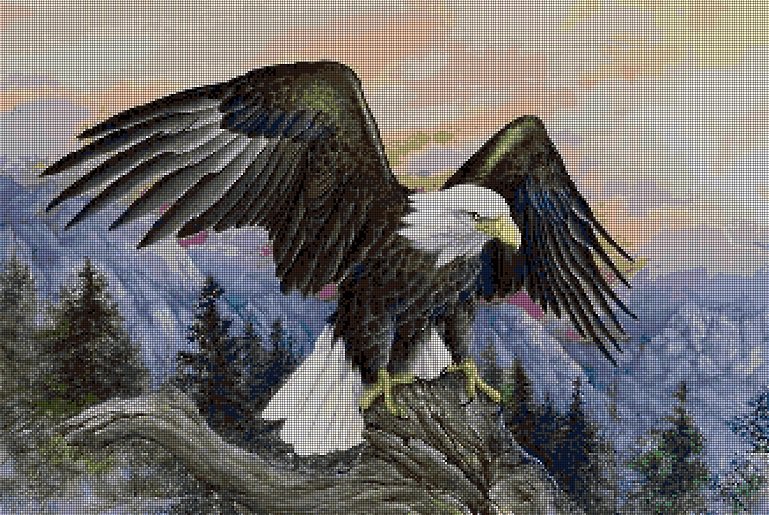 White-headed eagle DMC cross stitch pattern in pdf DMC