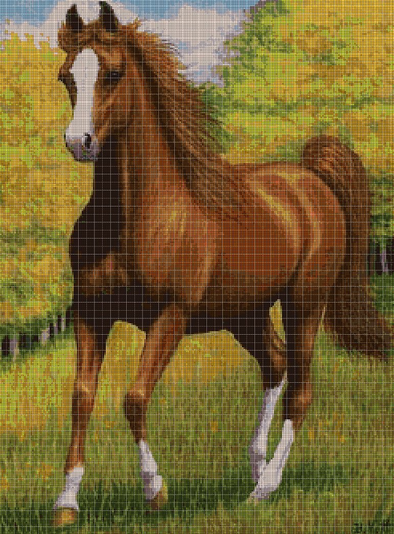 Horse DMC cross stitch pattern in pdf DMC