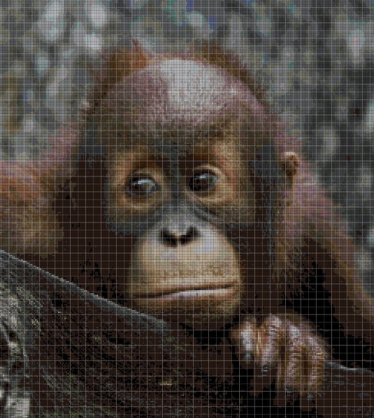 Little orangutan2 DMC cross stitch pattern in pdf DMC