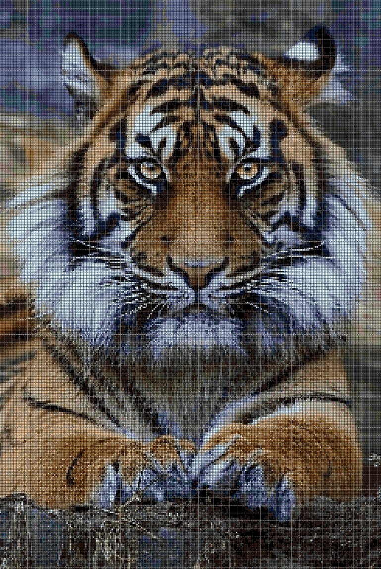 Sumatran Tiger DMC cross stitch pattern in pdf DMC