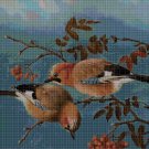 Birds on the branch DMC cross stitch pattern in pdf DMC