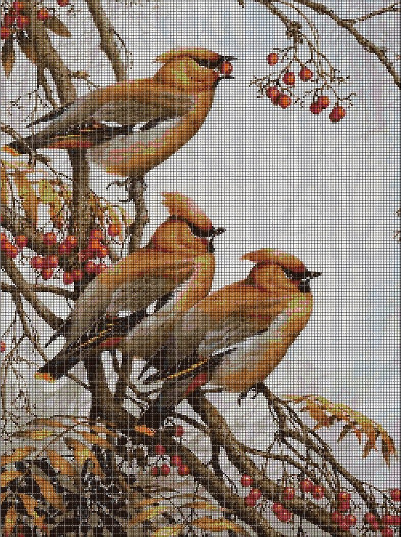 Birds on the branch 2 DMC cross stitch pattern in pdf DMC