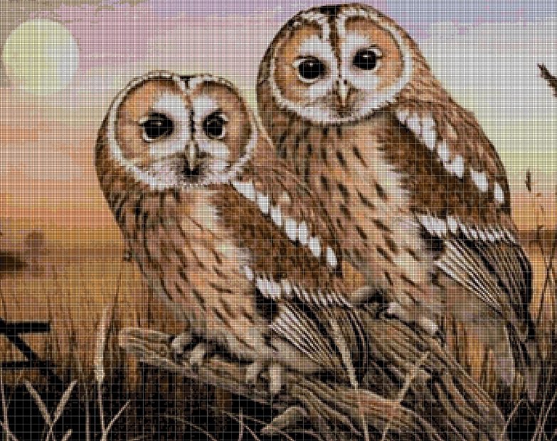 Owls 2 DMC cross stitch pattern in pdf DMC