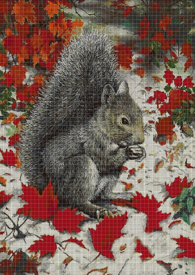 Squirrel DMC cross stitch pattern in pdf DMC