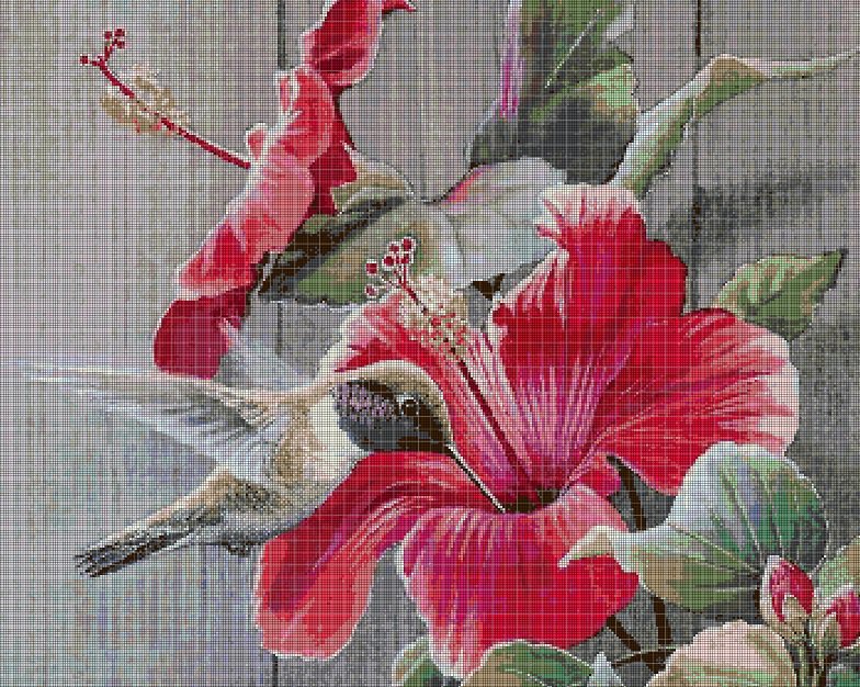 Hibiscus and hummingbird DMC cross stitch pattern in pdf DMC