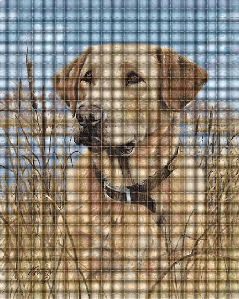 Dog in grass DMC cross stitch pattern in pdf DMC