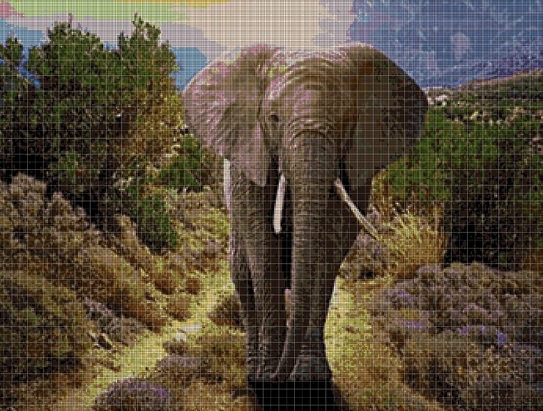 Elephant 2 DMC cross stitch pattern in pdf DMC