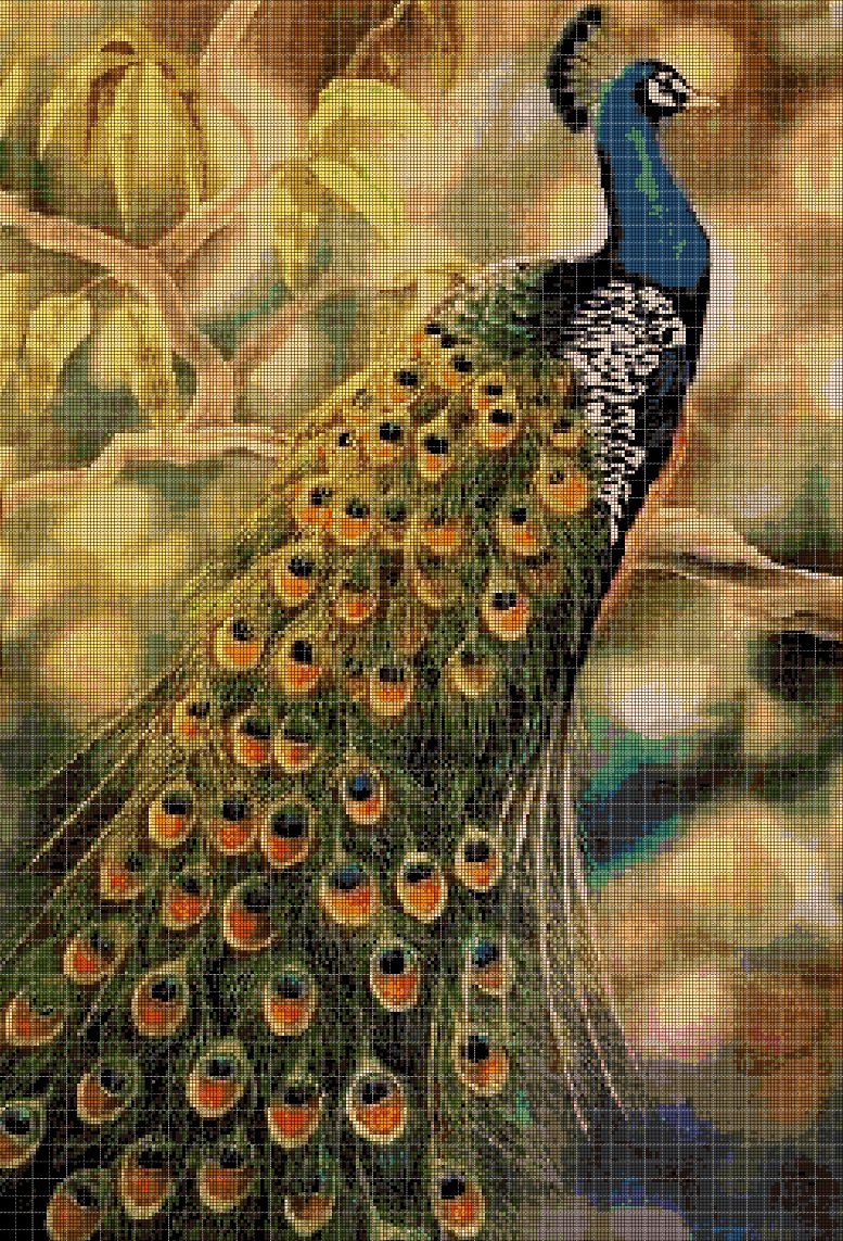 Beautiful Peacock DMC cross stitch pattern in pdf DMC