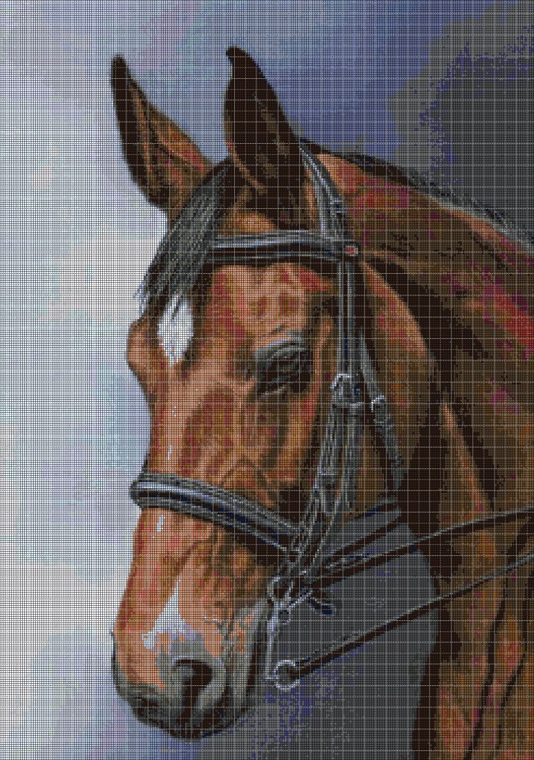 Horse portrait DMC cross stitch pattern in pdf DMC