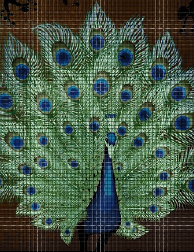 Peacock DMC cross stitch pattern in pdf DMC