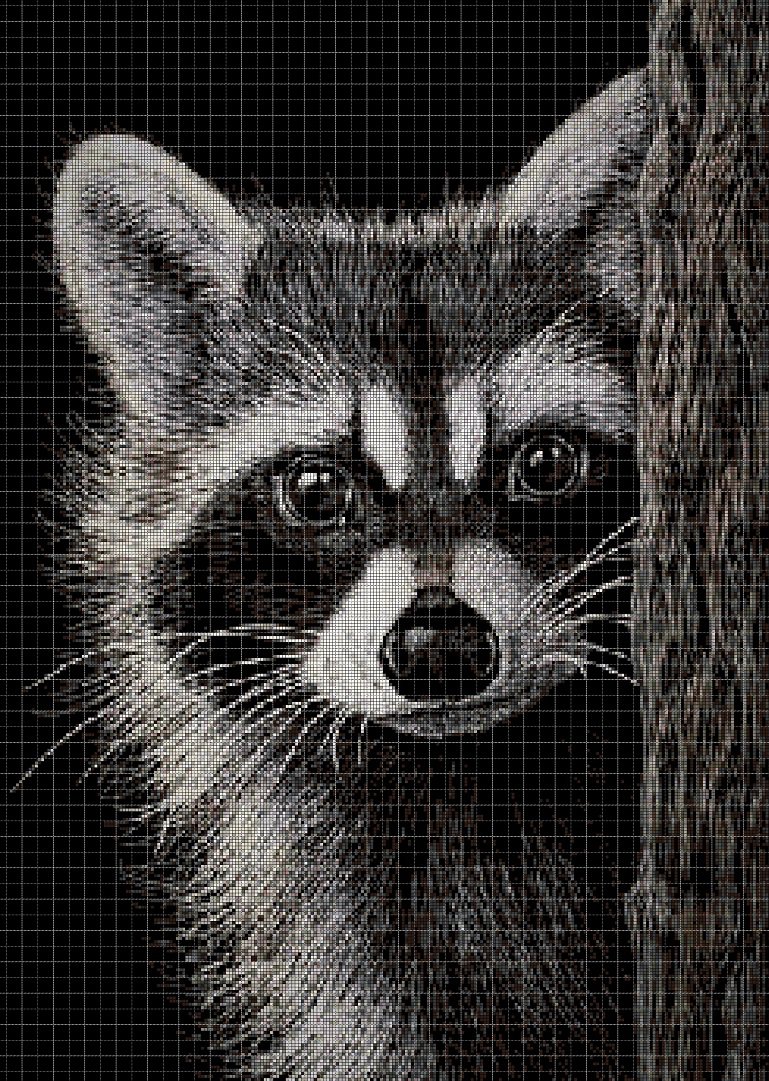 Raccoon DMC cross stitch pattern in pdf DMC