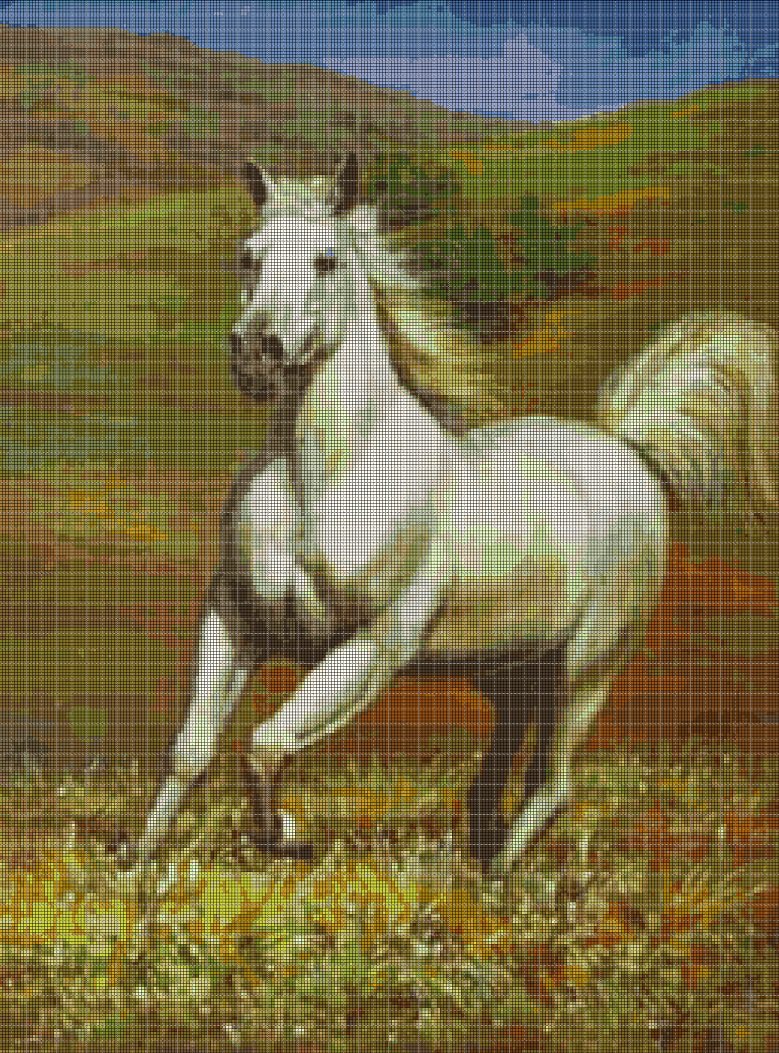 White horse cross stitch pattern in pdf DMC